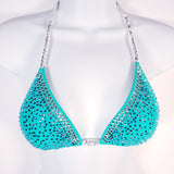 Custom Competition Bikini $400