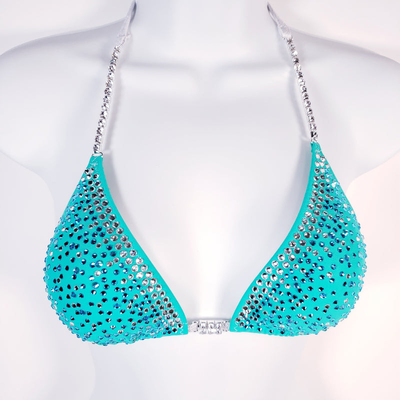 Custom Competition Bikini $400